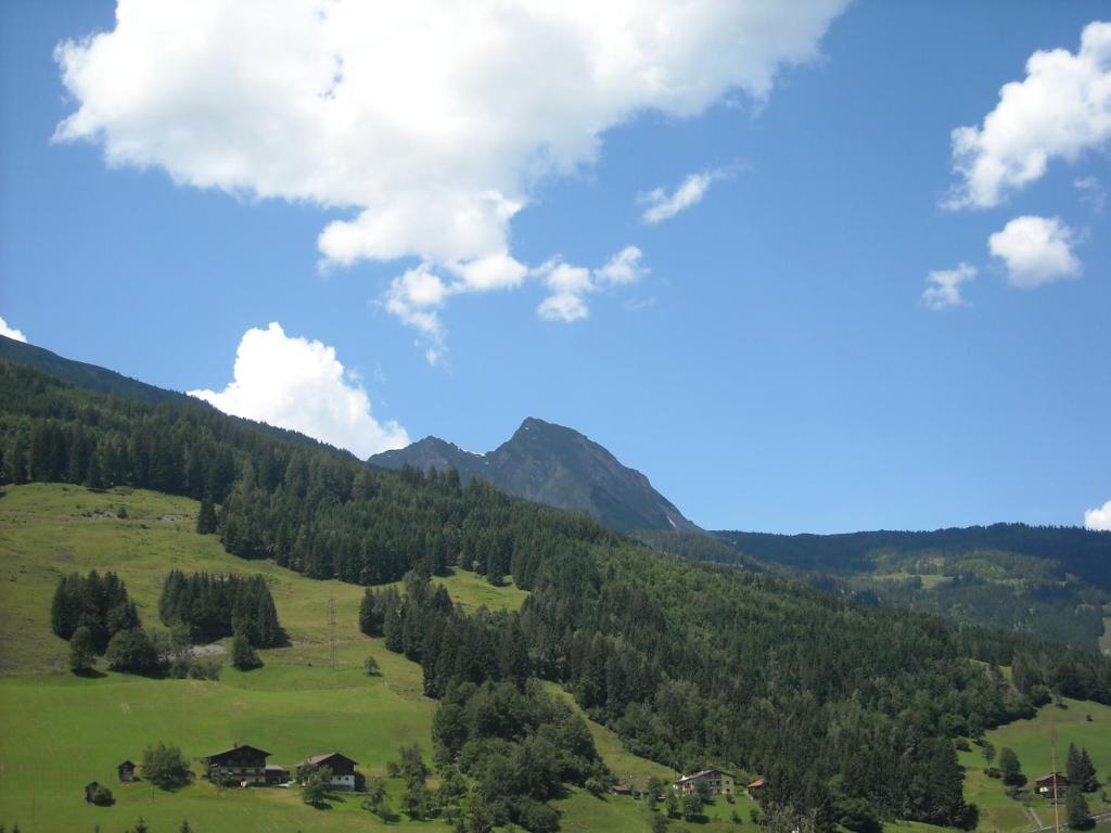 Landhaus & Appartementhaus Haussteiner Дорфгаштайн Номер фото